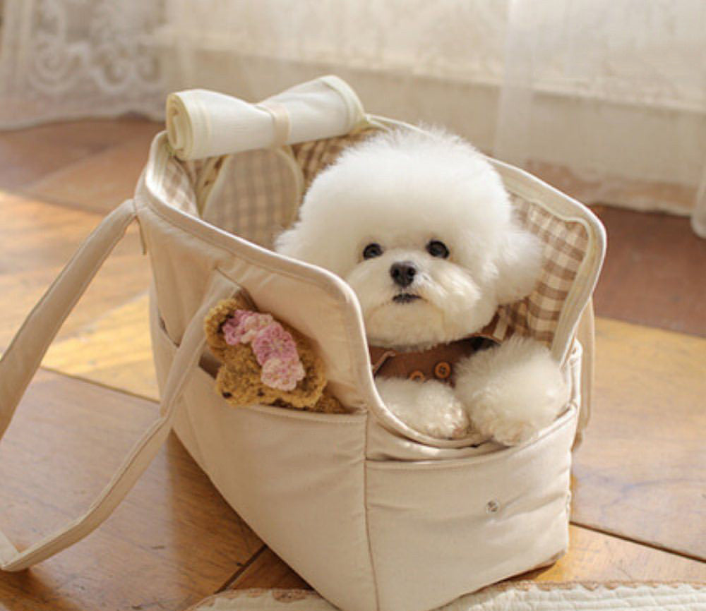 Tragbare Hunde Tasche