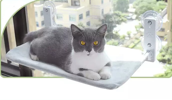 Katze Saugnapf Fenster Glas Hängematte