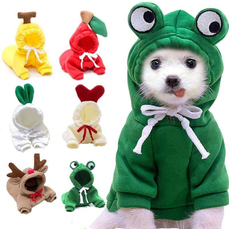 Niedliche Hundekleidung