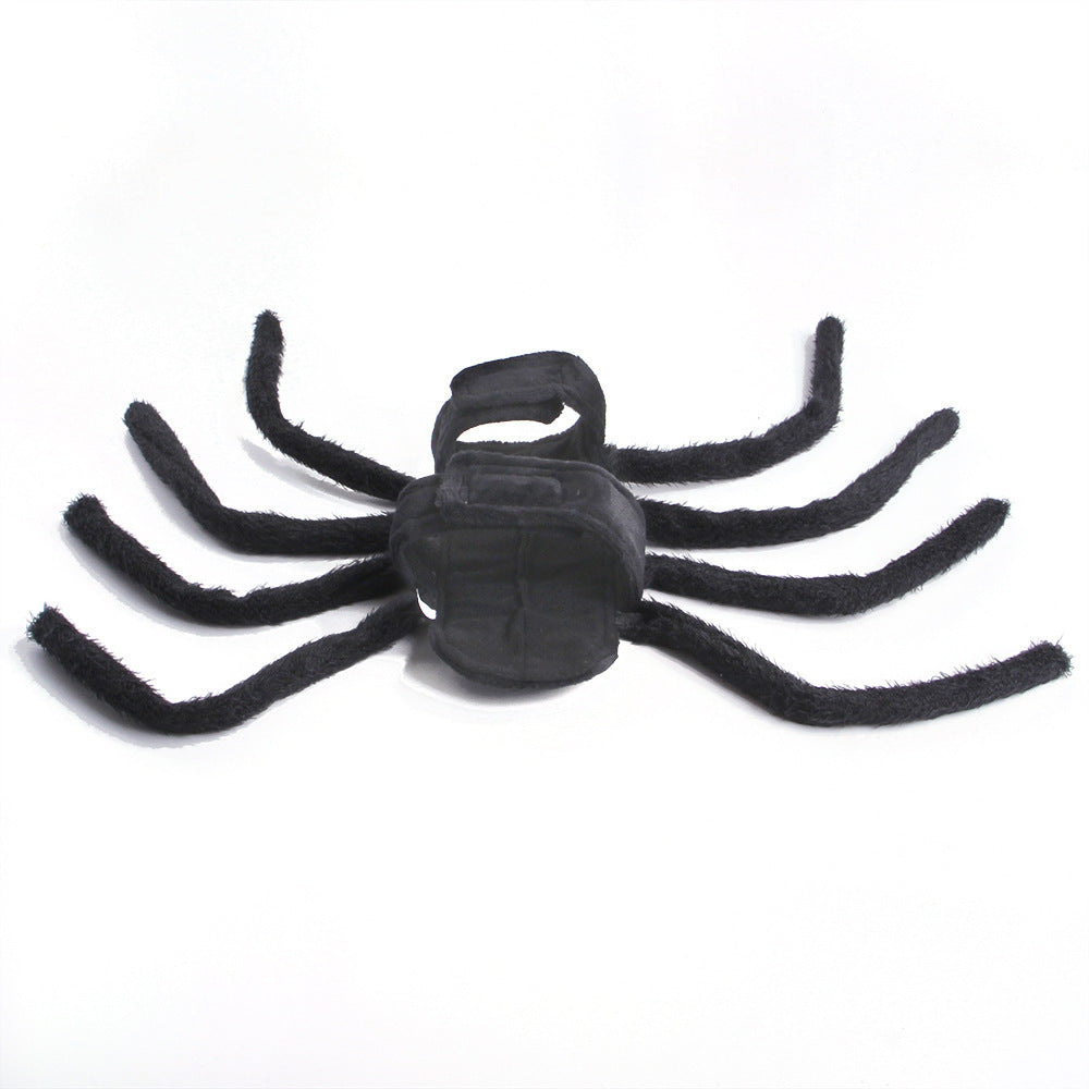 Haustier Halloween Kostüm