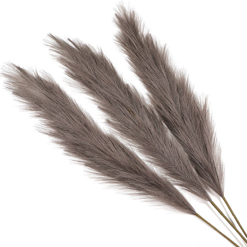 Gras Pampas Dekoration für Zuhause