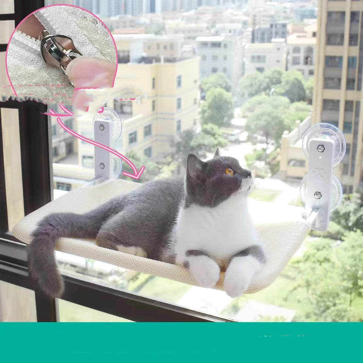 Katze Saugnapf Fenster Glas Hängematte