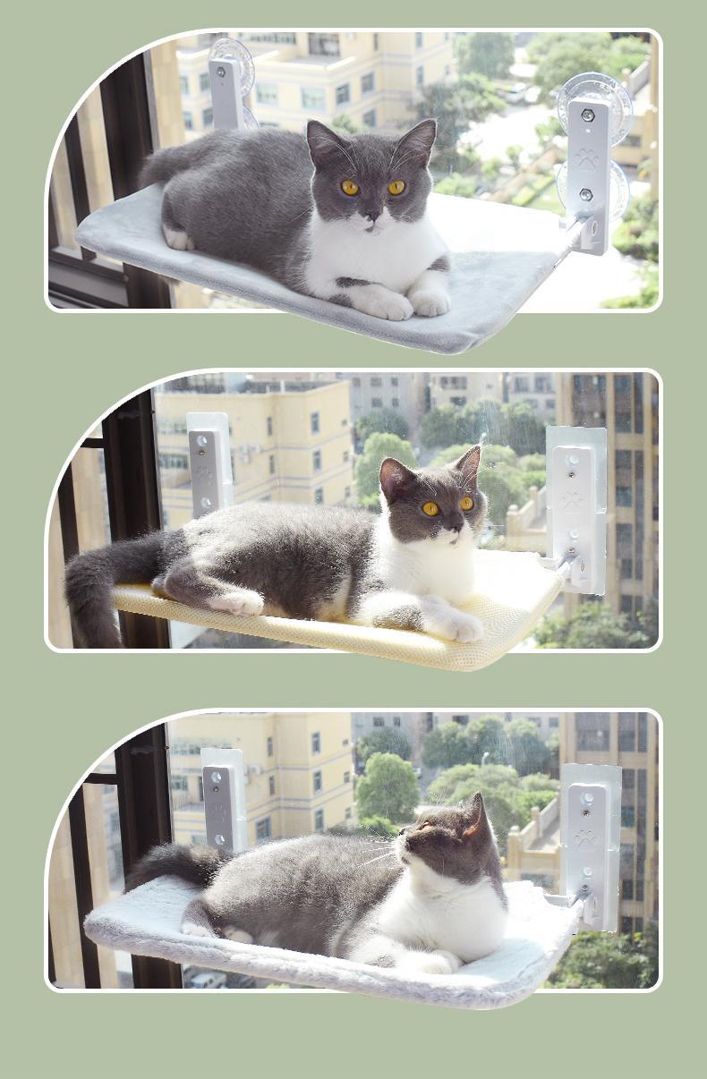 Katze Saugnapf Fenster Glas Hängematte