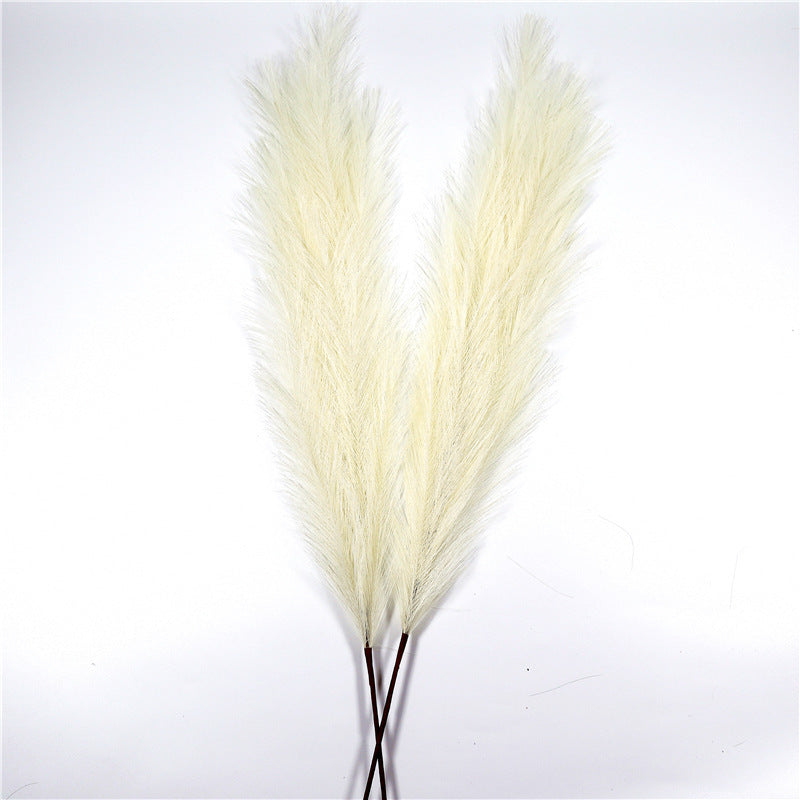 Gras Pampas Dekoration für Zuhause