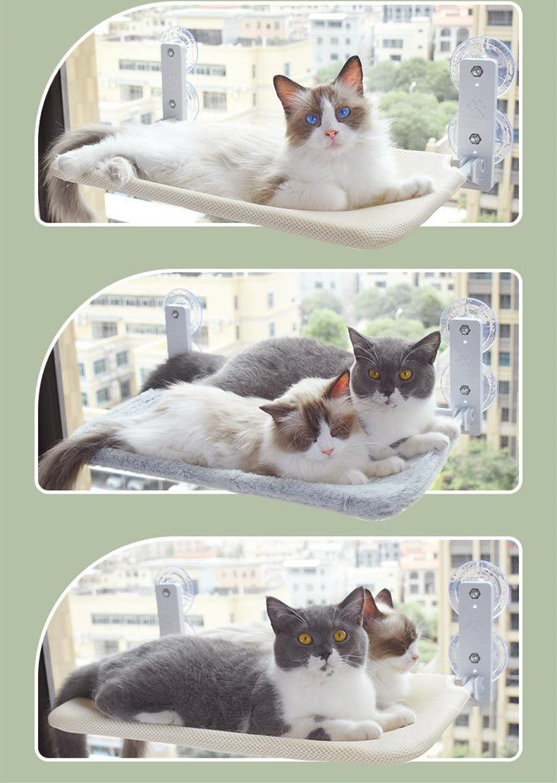 Katze Saugnapf Fenster Glas Hängematte