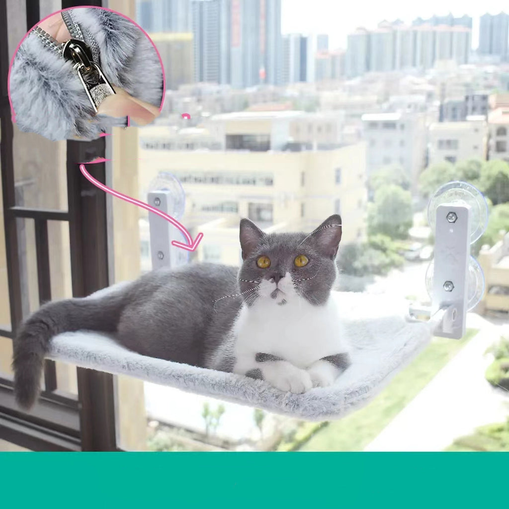 Katze Saugnapf Fenster Glas Hängematte
