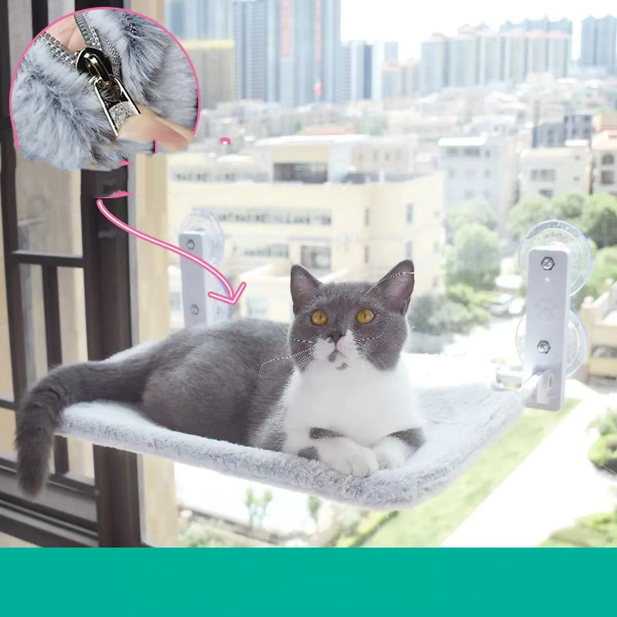 Katze Saugnapf Fenster Glas Hängematte