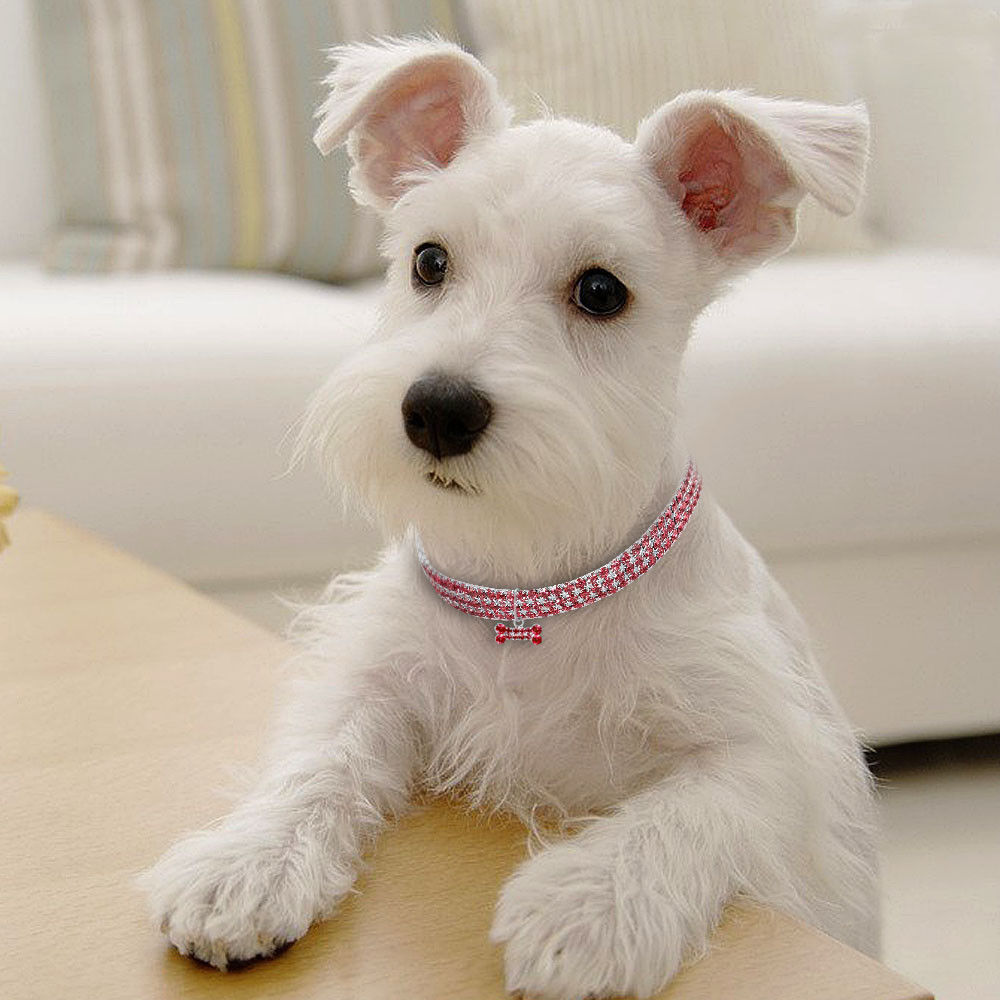 Bling Strass Hundehalsband