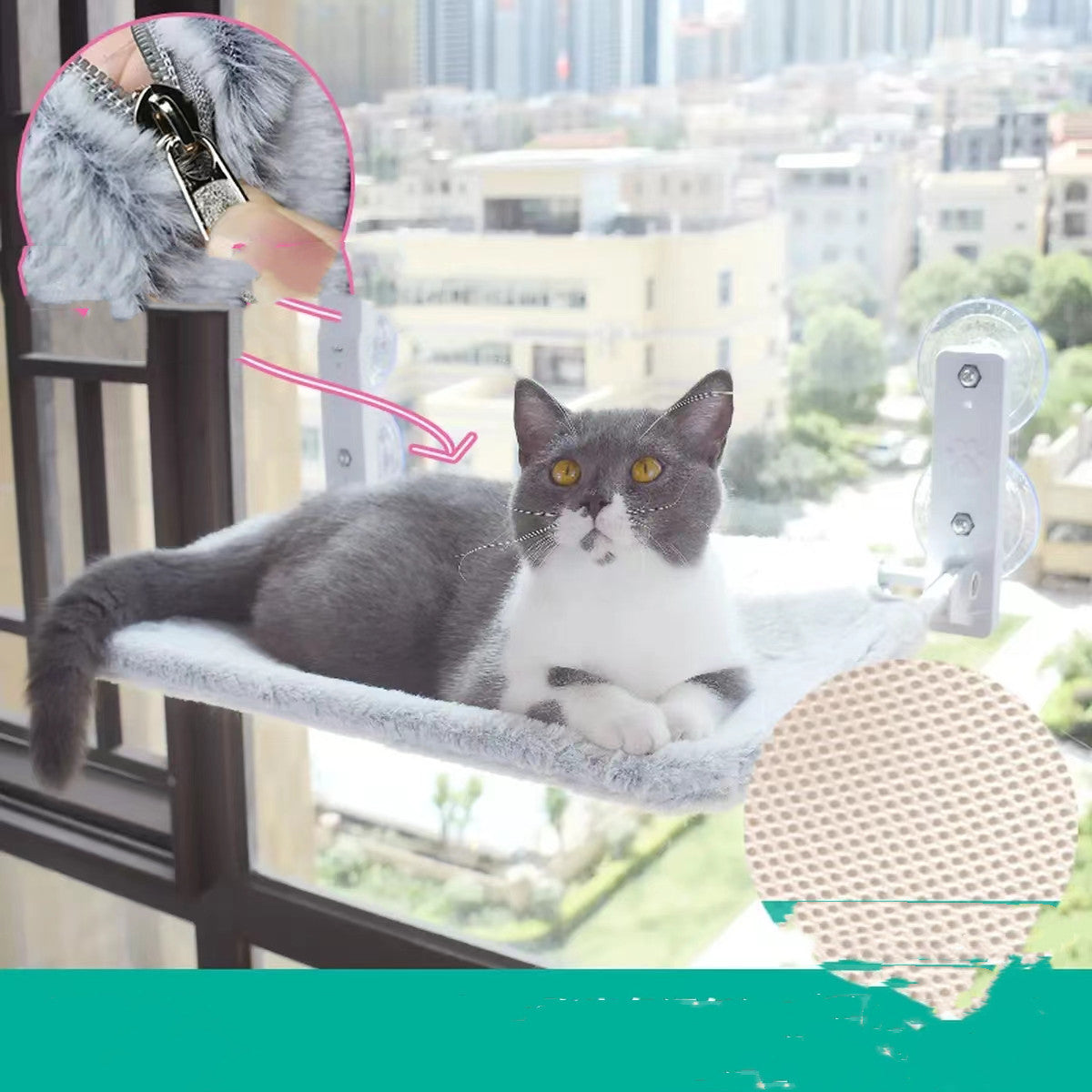Katze Saugnapf Fenster Glas Hängematte