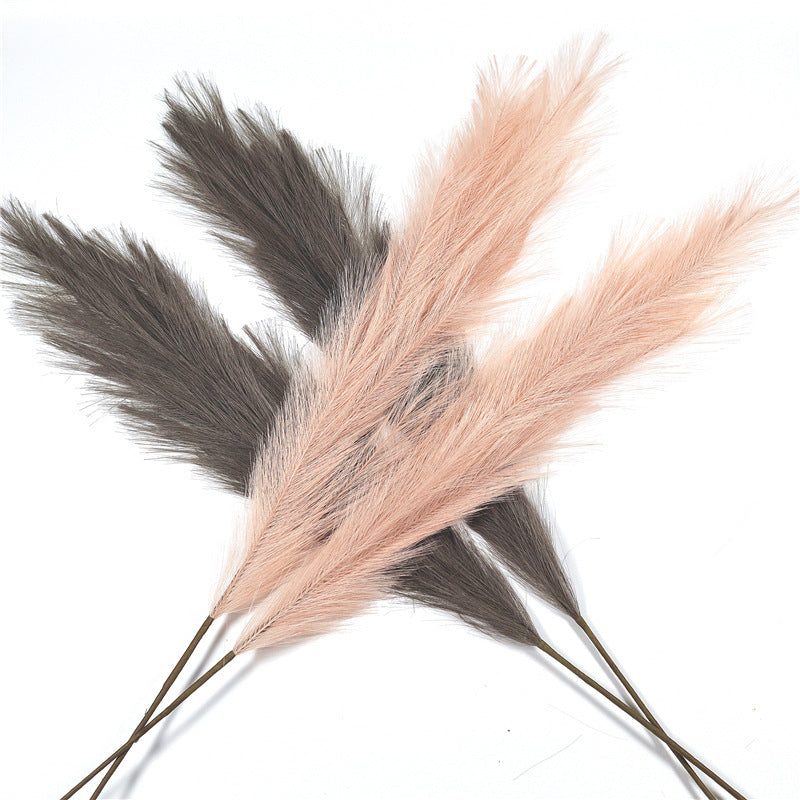 Gras Pampas Dekoration für Zuhause