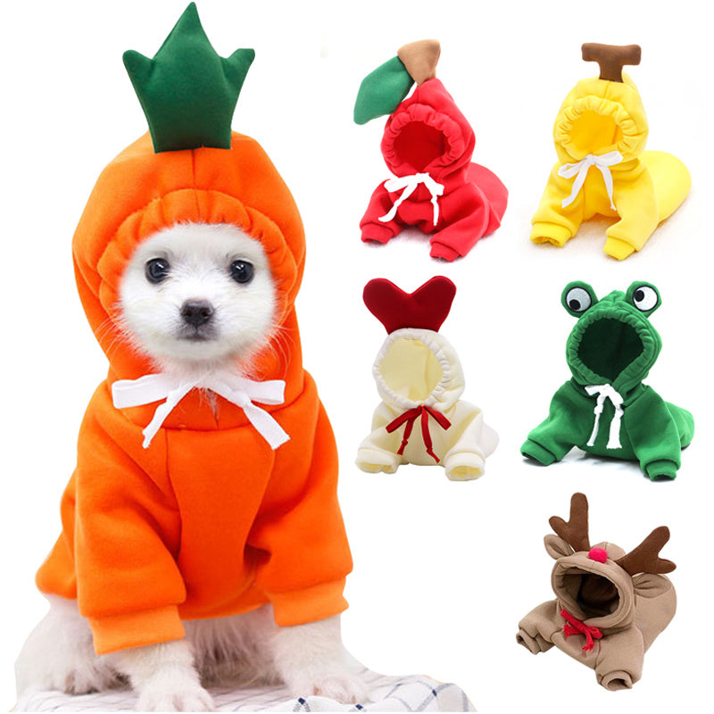 Niedliche Hundekleidung