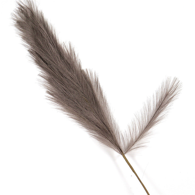 Gras Pampas Dekoration für Zuhause