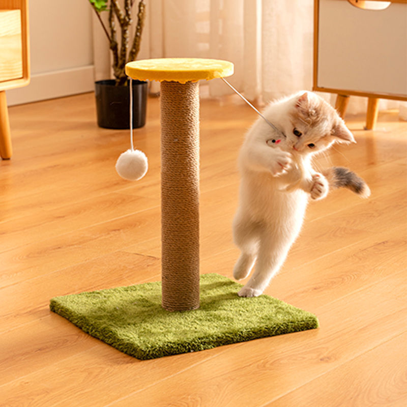Katzen Spielzeug