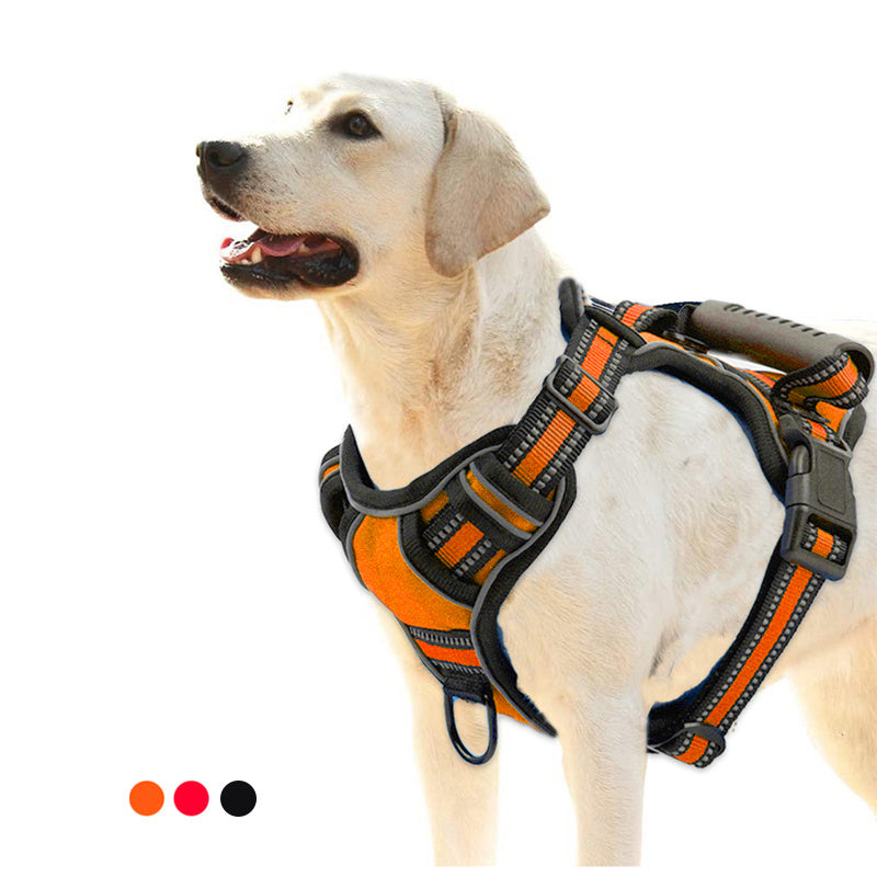 Atmungsaktiver Hundegeschirr