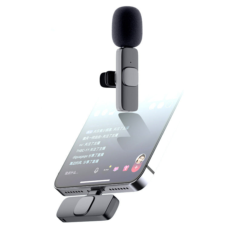 Tragbares Bluetooth Mikrofon